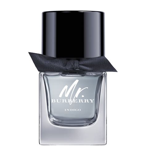 burberry mr fragrantica|mr burberry indigo 50ml.